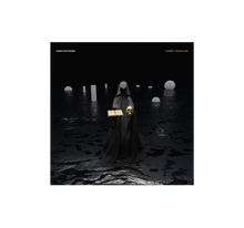 Load image into Gallery viewer, I Won't Survive CD